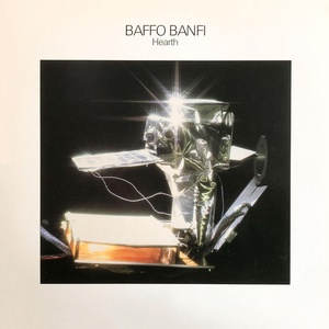 Обложка для Baffo Banfi - Heart Circuit Machine