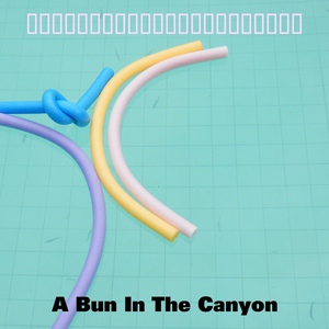 Обложка для A Bun In The Canyon - Univer Radio