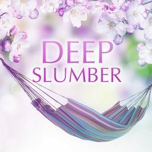 Обложка для Sleep Meditation Dream Catcher - Nature Sounds