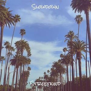 Обложка для Streetkind feat. ill Factor, Leo Brooks, Evan Schroeder - Slowdown