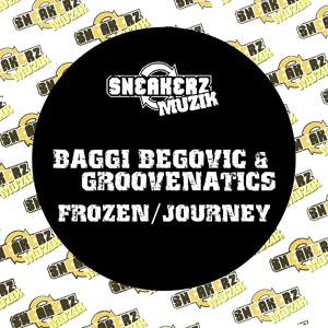 Обложка для Baggi Begovic, Groovenatics - Journey