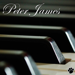 Обложка для Peter James - How Far I'll Go