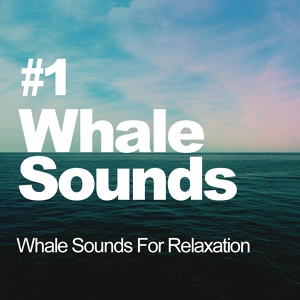 Обложка для Whale Sounds For Relaxation - Meditating By The Sea Side