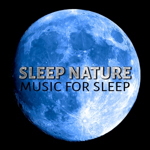 Обложка для Natural Sleep Aid Music Zone - New Age Sleep