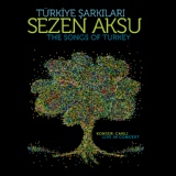 Обложка для Sezen Aksu - Sen Ağlama