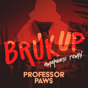 Обложка для Professor Paws - Bruk Up