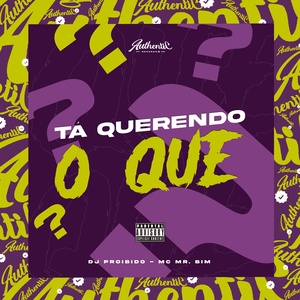 Обложка для DJ PROIBIDO feat. MC Mr Bim - Tá Querendo o Que?