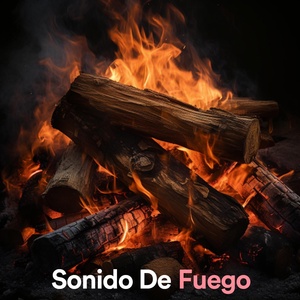 Обложка для Sonido De Fuego feat. Ruido Blanco - Sonido de Fuego