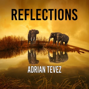 Обложка для Adrian Tevez - Reflections