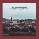 Обложка для The Tibetan Singing Bowls - Tibetan Singing Bowl B