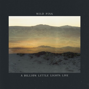 Обложка для Wild Pink - The Wind Was Like A Train