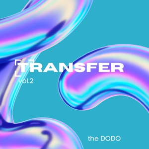 Обложка для The Dodo - Discovery