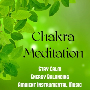 Обложка для Asian Zen Spa Music Meditation - Asian Oasis (Calming Music for Deep Breathing)
