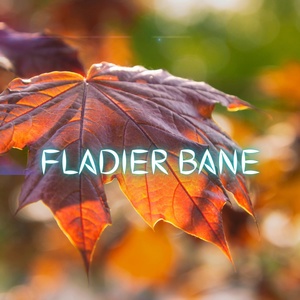 Обложка для Fladier Bane - Lupfront Flubbers