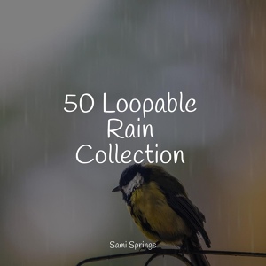 Обложка для Relajantes sonidos de lluvia, The Sleep Principle, nature & Sounds Background - Surface Rain