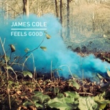 Обложка для James Cole - Say That You Love Me