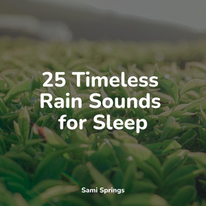 Обложка для Entspannungsmusik, Música Zen Relaxante, Deep Sleep - Moderate Rain