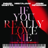 Обложка для David Guetta, MistaJam, John Newman - If You Really Love Me (How Will I Know)