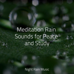 Обложка для Massage Music, Spa Isochronic Tones Lab, Ruído branco - Soft Rain & Gentle Thunder