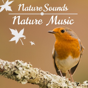 Обложка для Rainforest Music Lullabies Ensemble - Nature Music