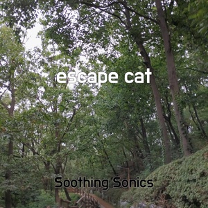 Обложка для Soothing Sonics - step mix