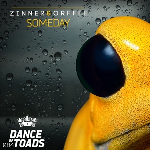 Обложка для Zinner, Orffee - Someday