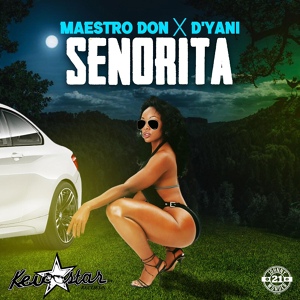Обложка для Maestro Don, D'Yani - Señorita