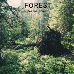 Обложка для Валера Nemetz - Forest