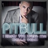 Обложка для Pitbull - I Know You Want Me (Calle Ocho)