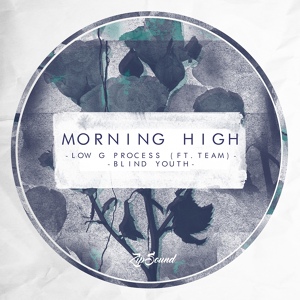 Обложка для Morning High - Blind Youth