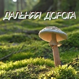 Обложка для Сергей Грищук - Дальняя дорога