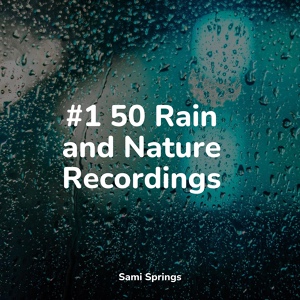 Обложка для Sounds Of Nature : Thunderstorm, Rain, Fabricantes De Lluvia, Binaural Creations - Forest, Morning, Birds, Bugs