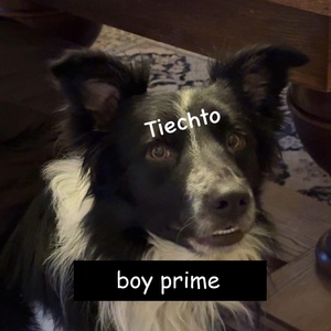 Обложка для Tiechto - Boy Prime