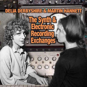 Обложка для Delia Derbyshire, Martin Hannett - Hannett and Delia synth exchanges track 9