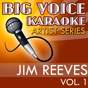 Обложка для Big Voice Karaoke - I Won't Forget You (In the Style of Jim Reeves) [Karaoke Version]