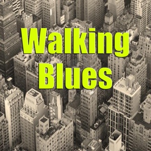 Обложка для Muddy Waters - Walking Blues
