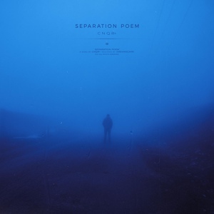 Обложка для CNQR+ - separation poem