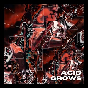 Обложка для Ayush Dattana - Acid Grows