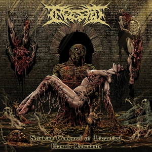 Обложка для Ingested - Butchered and Devoured