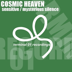 Обложка для Cosmic Heaven - Mysterious Silence