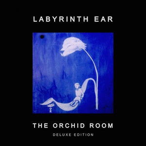 Обложка для Labyrinth Ear - Urchin