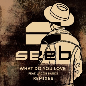 Обложка для Seeb feat. Jacob Banks - What Do You Love