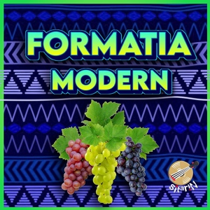 Обложка для Formatia Modern - Prin necazuri