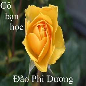 Обложка для Đào Phi Dương - Cô bạn học