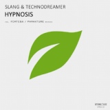 Обложка для Slang & Technodreamer - Hypnosis (Phrakture Remix)