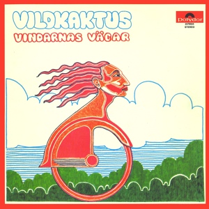 Обложка для Vildkaktus - Moralens mjuka möbler