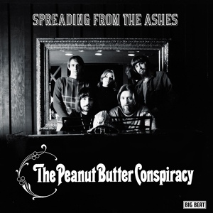 Обложка для The Peanut Butter Conspiracy - Flight Of The Psychedelic Bumble Bee