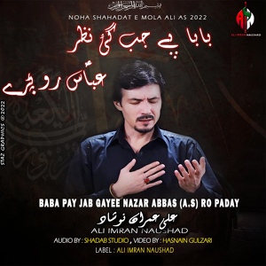 Обложка для Ali Imran Naushad - Baba Pay Jab Gaye Nazar Abbas Ro Paday