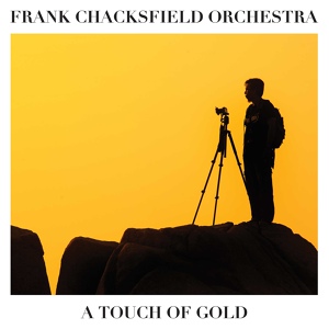 Обложка для Frank Chacksfield Orchestra - It's My Love