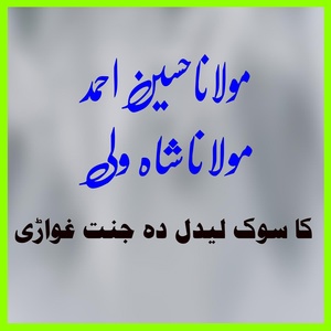 Обложка для Maulana Husain Ahmad, Maulana Shah wali - Ka Sok Ledal Da Jannat Ghwari